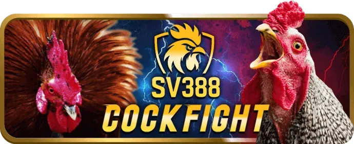 Hoàn trả hàng ngày S88bet